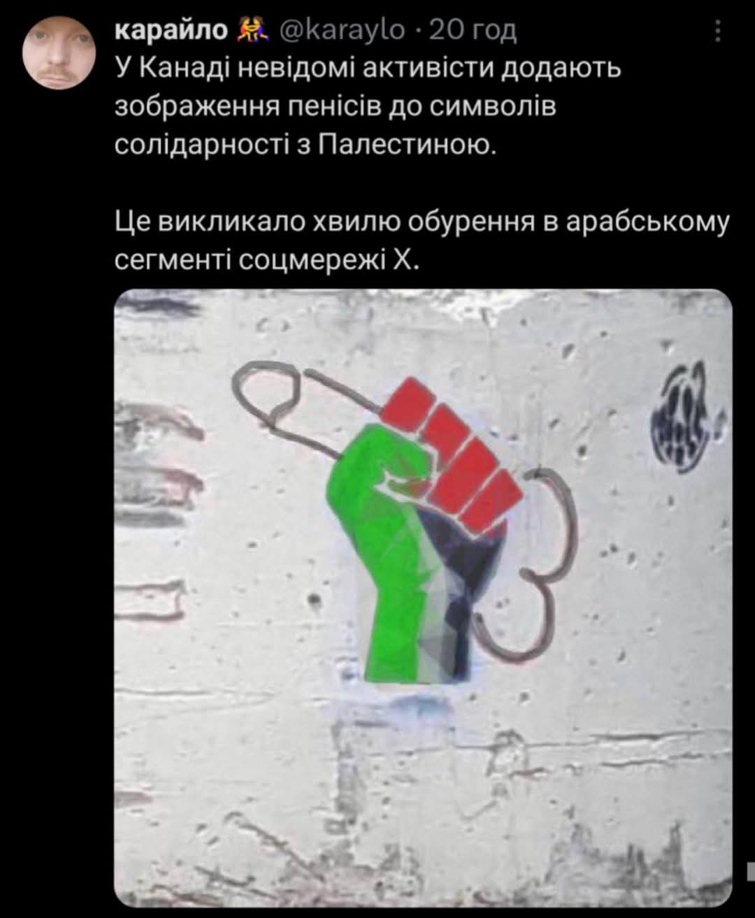 карайло #- @karaylo &bull; 20 год У Канаді невідомі активісти додають зображення пенісів до символів солідарності з Палестиною. Це викликало хвилю обурення в арабскому сегменті соцмережі Х.
